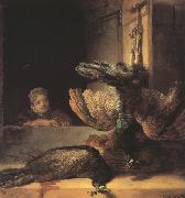 REMBRANDT Harmenszoon van Rijn Still life with two dead Peacocks and a Girl (mk33) France oil painting artist